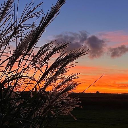 The Perch - Southwold Luxury And Blissful Views 빌라 외부 사진