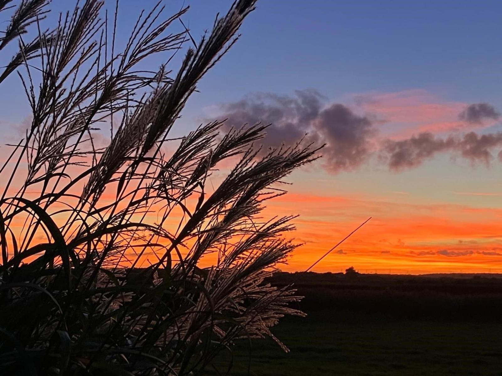 The Perch - Southwold Luxury And Blissful Views 빌라 외부 사진